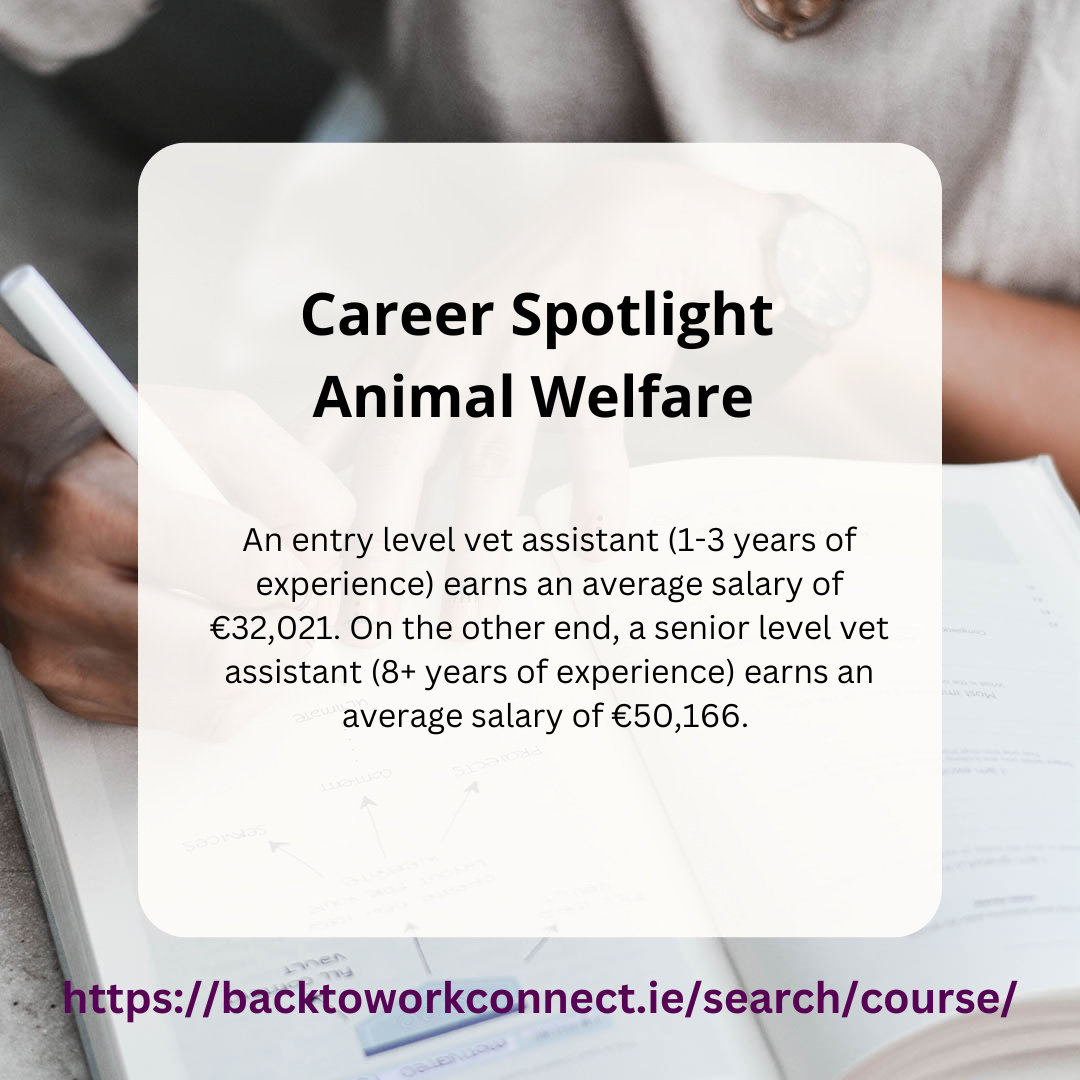 Career Spotlight – Animal Welfare