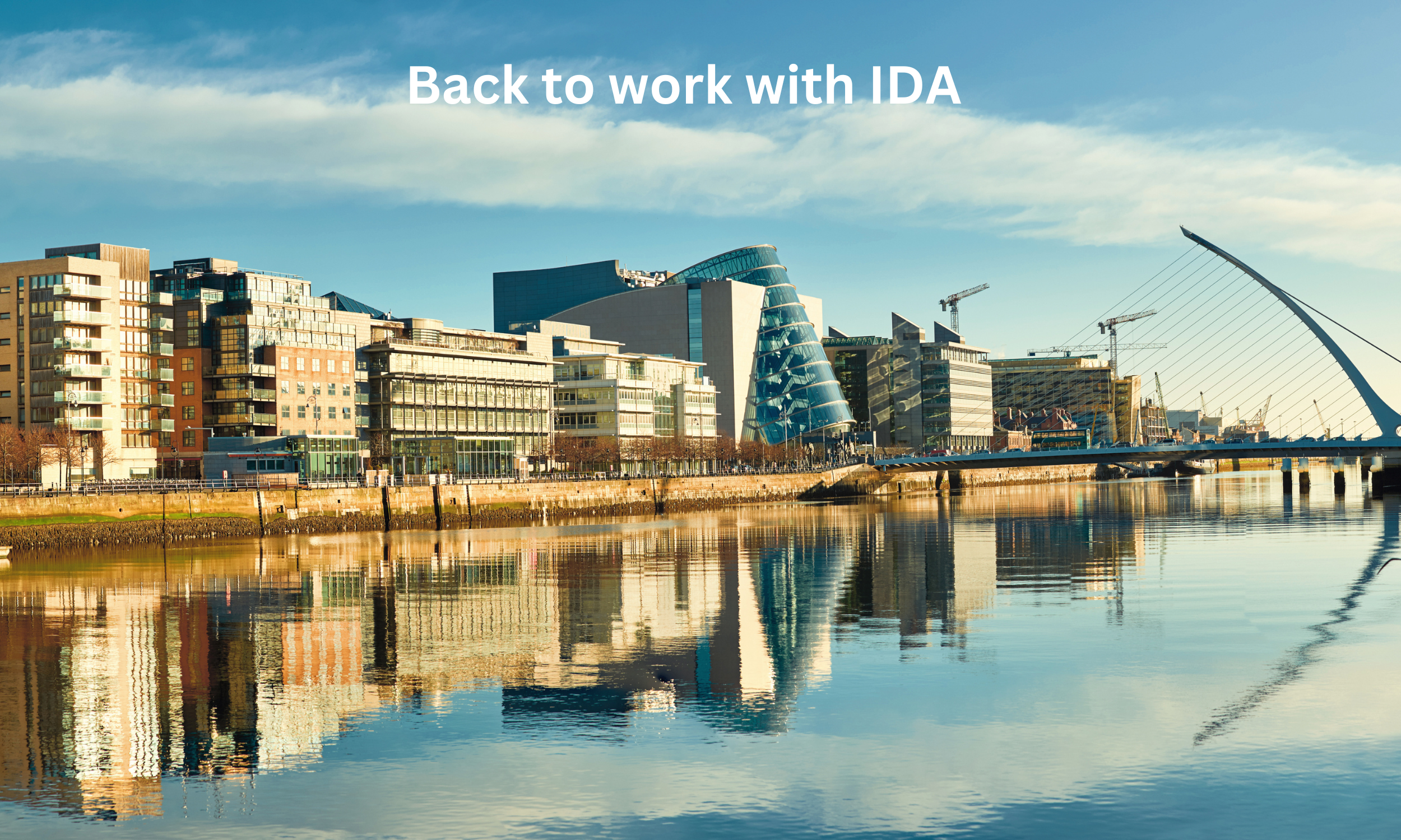 Back to work with: IDA Ireland